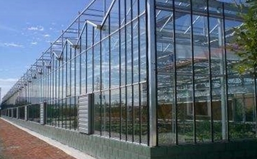 玻璃温室大棚立体种植