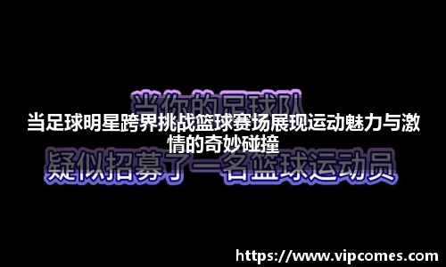 中欧体育网址