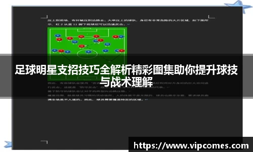 中欧体育